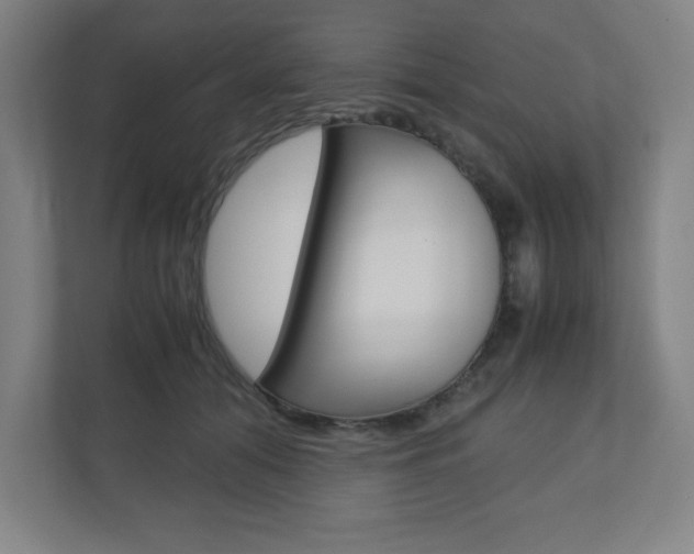 X0000110910608200906181007
