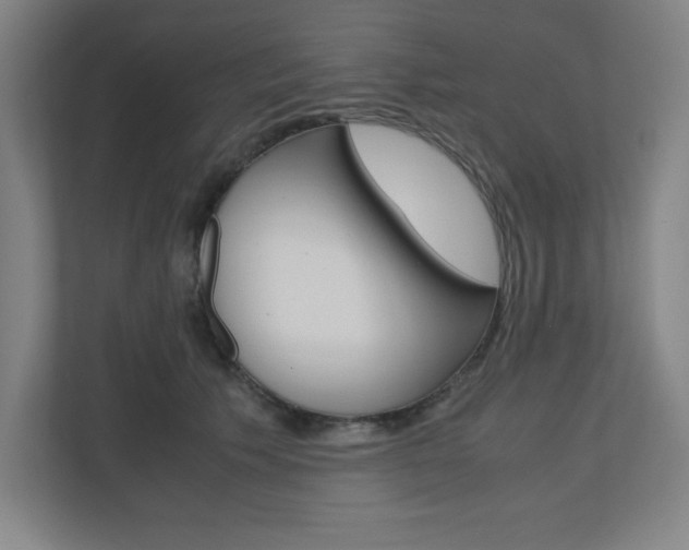 X0000110910609200906181007