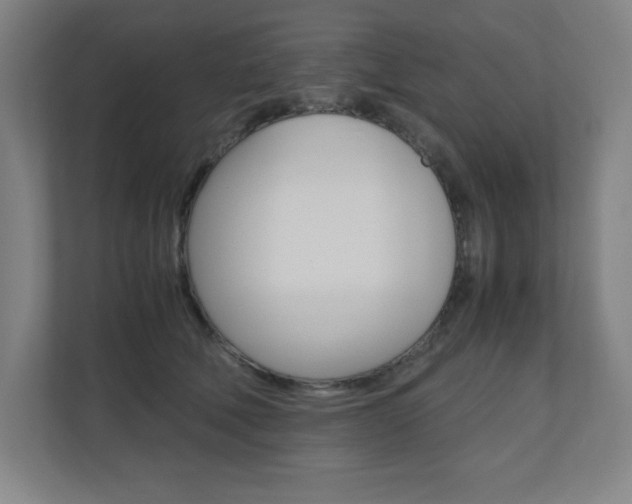 X0000110910610200906181007