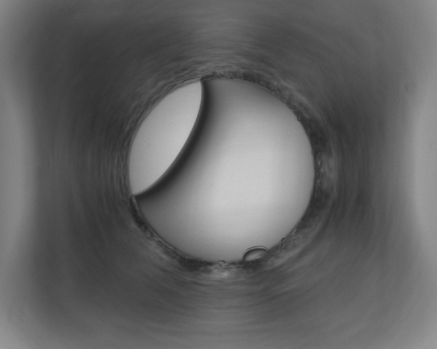 X0000110910612200906181007