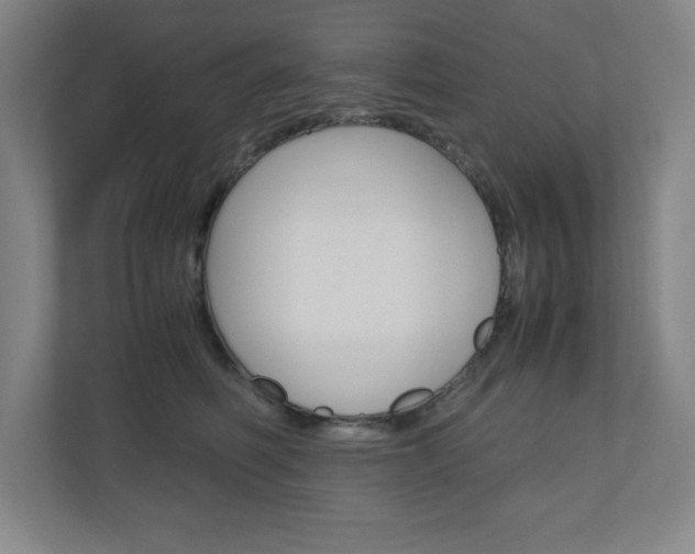 X0000110910614200906181007