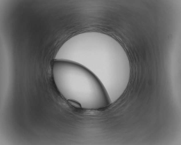 X0000110910617200906181007