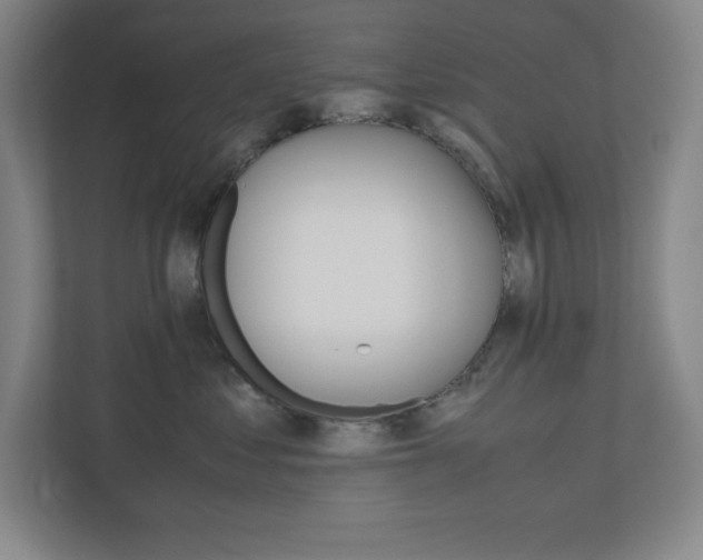 X0000110910621200906181007