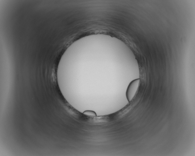 X0000110910622200906181007