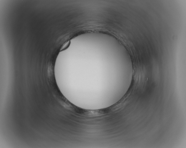 X0000110910623200906181007