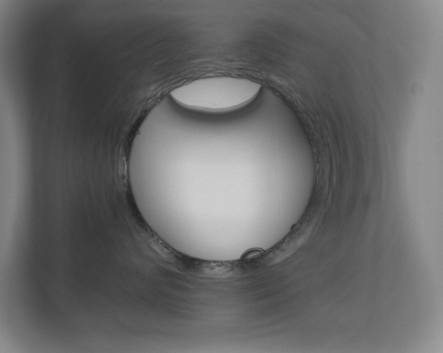 X0000110910624200906181007