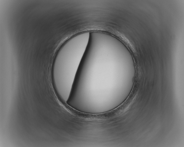 X0000110910625200906181007