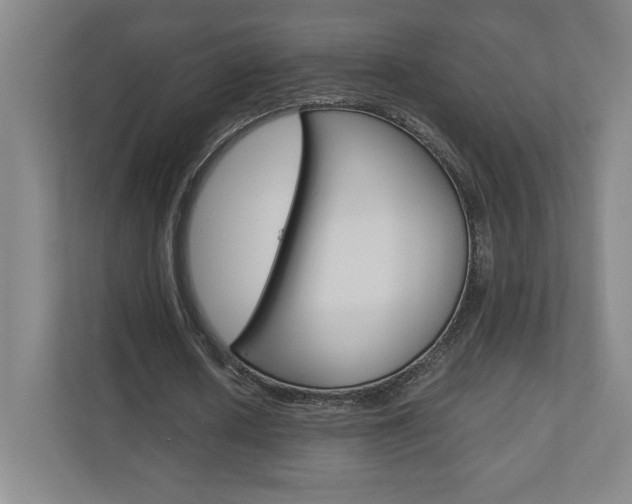 X0000110910626200906181007