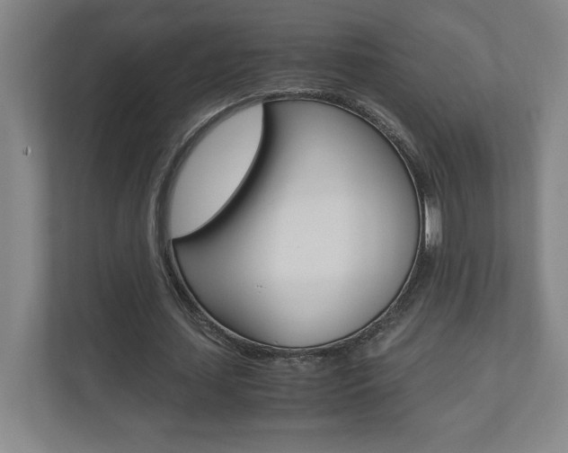 X0000110910627200906181007