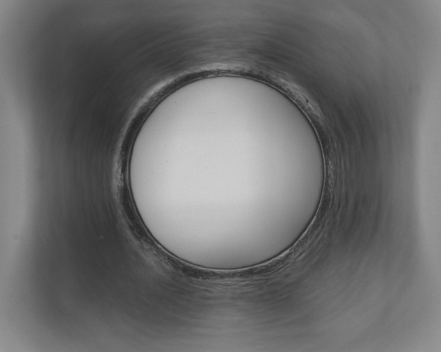 X0000110910628200906181007