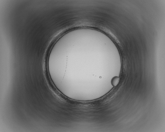 X0000110910629200906181007