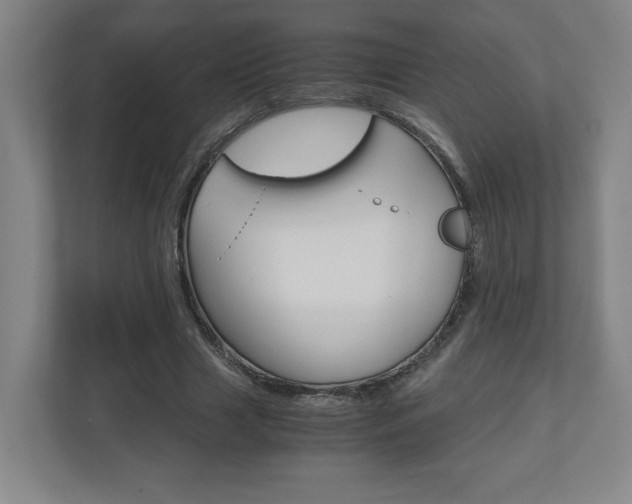 X0000110910633200906181007