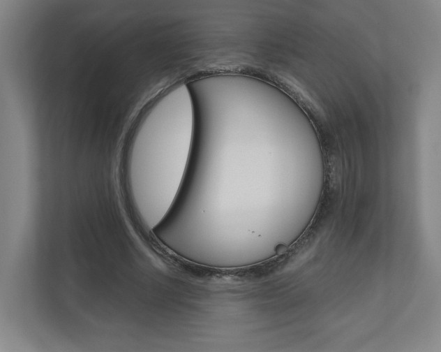 X0000110910634200906181007