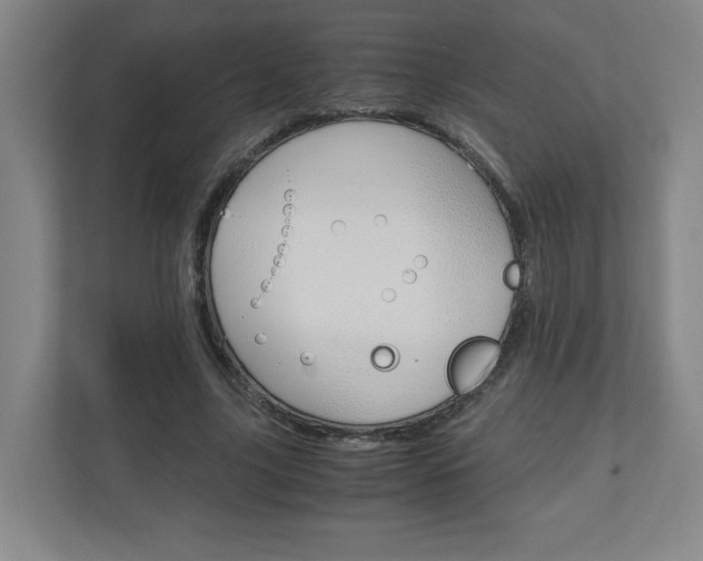X0000110910635200906181007