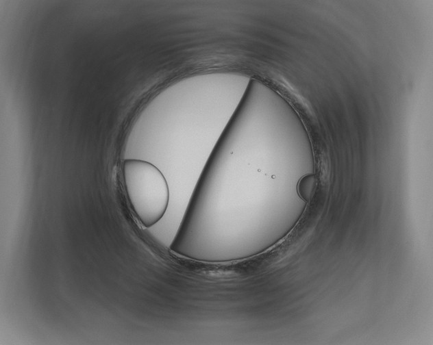 X0000110910637200906181007