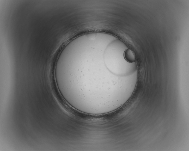 X0000110910638200906181007