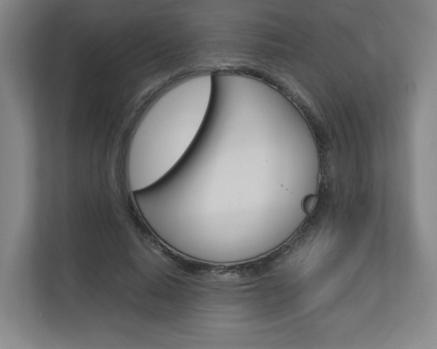 X0000110910640200906181007