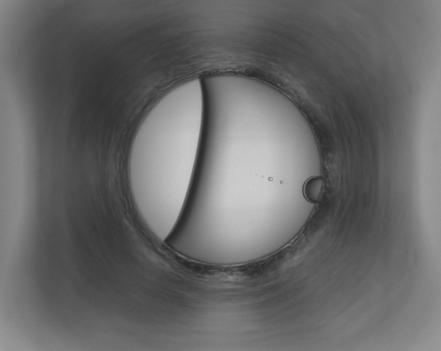 X0000110910642200906181007