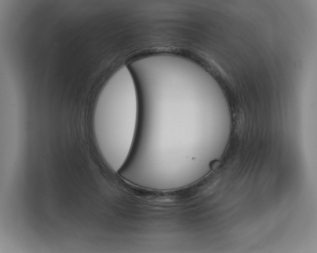 X0000110910643200906181007