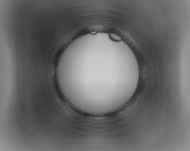 X0000110910645200906181007