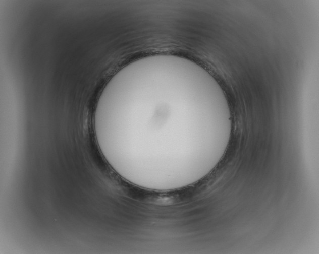 X0000110910647200906181007