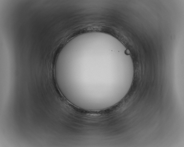 X0000110910649200906181007