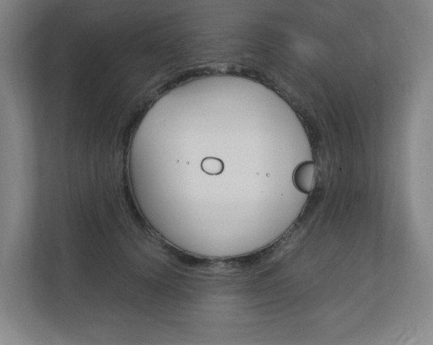 X0000110910656200906181007