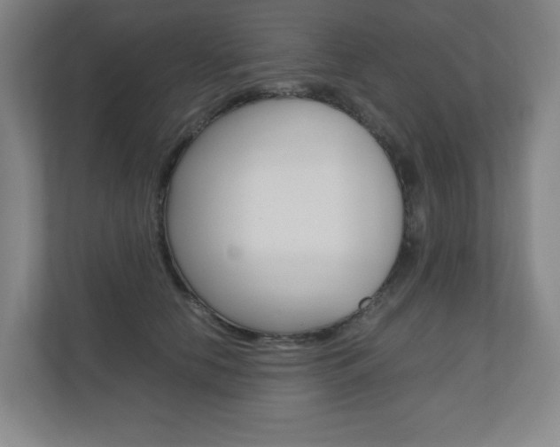 X0000110910658200906181007