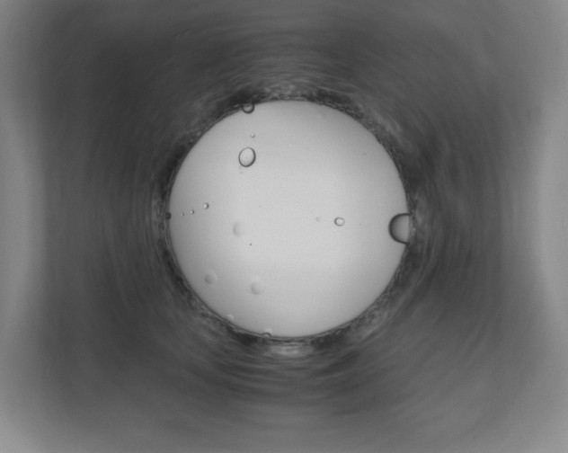 X0000110910659200906181007
