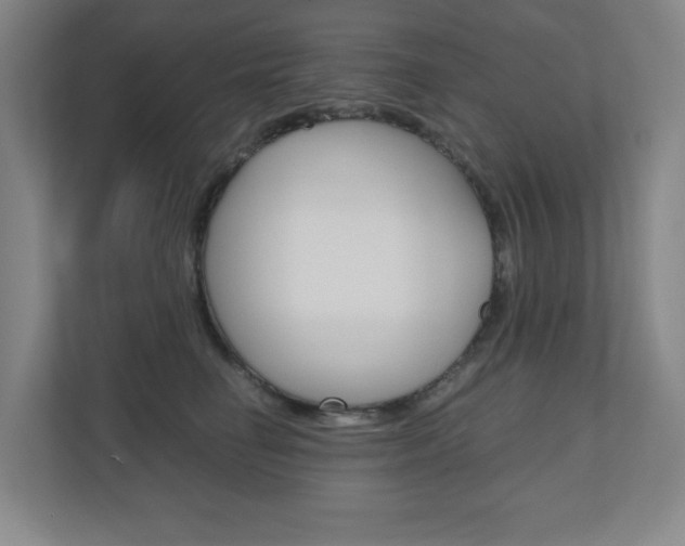 X0000110910662200906181007