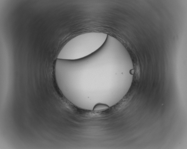 X0000110910668200906181007