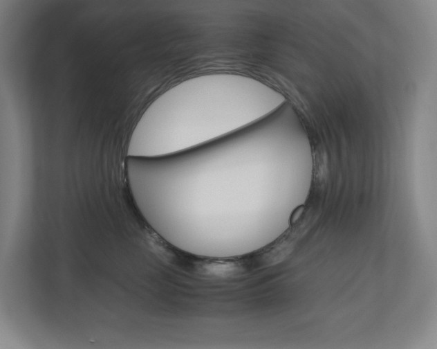 X0000110910669200906181007