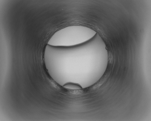 X0000110910670200906181007