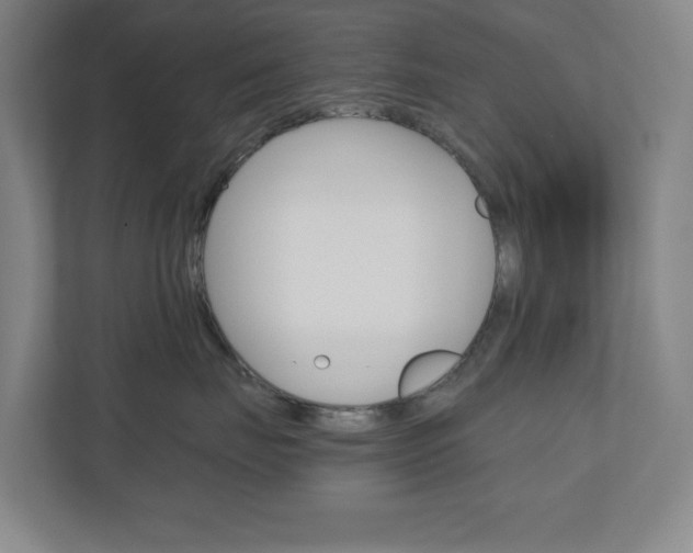 X0000110910671200906181007
