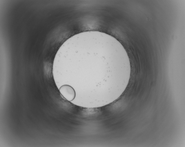 X0000110910672200906181007