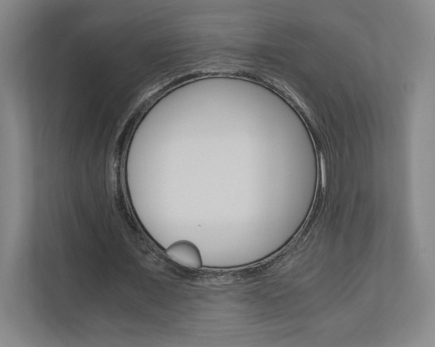 X0000110910675200906181006