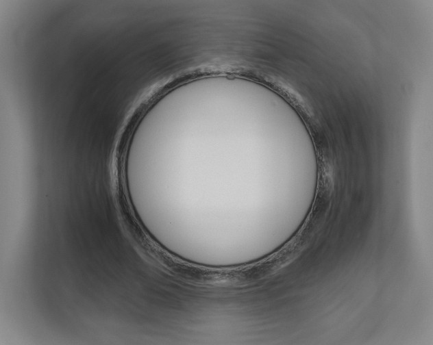X0000110910678200906181006