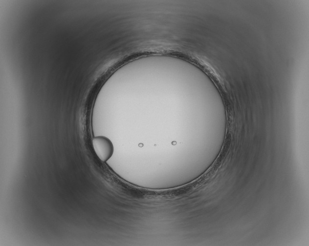 X0000110910679200906181006