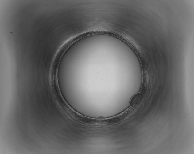 X0000110910680200906181006