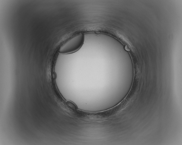 X0000110910681200906181006