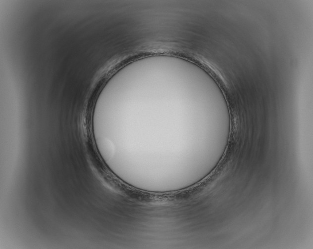X0000110910682200906181006