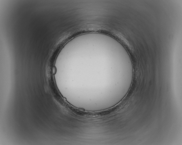 X0000110910683200906181006