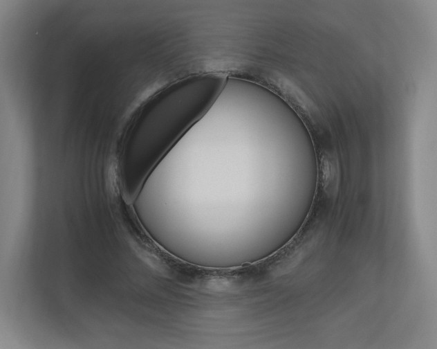 X0000110910684200906181006