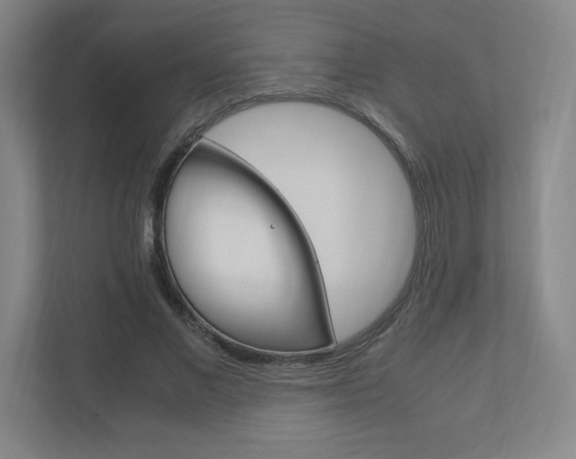 X0000110910685200906181006