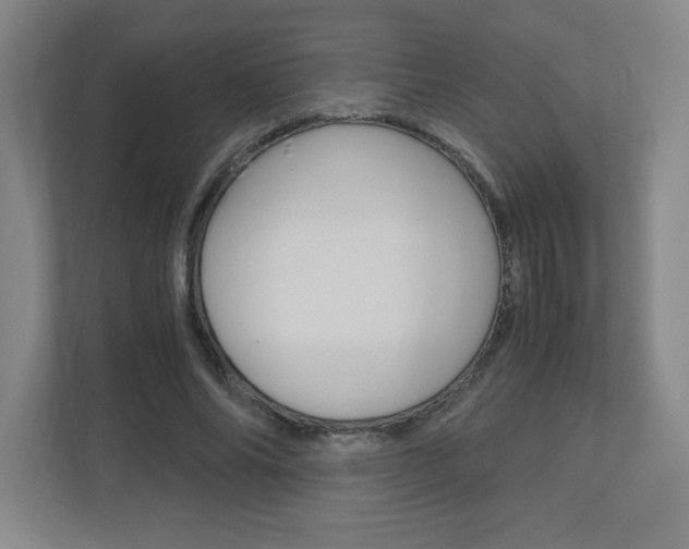 X0000110910686200906181006