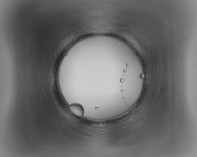 X0000110910687200906181006