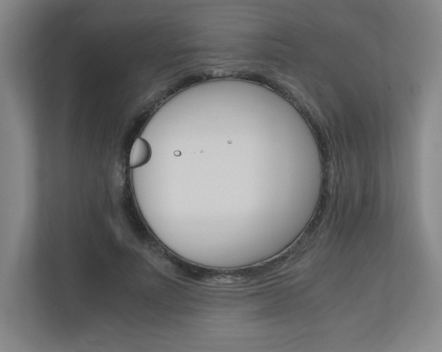 X0000110910691200906181006