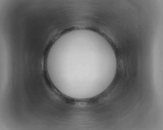 X0000110910694200906181006
