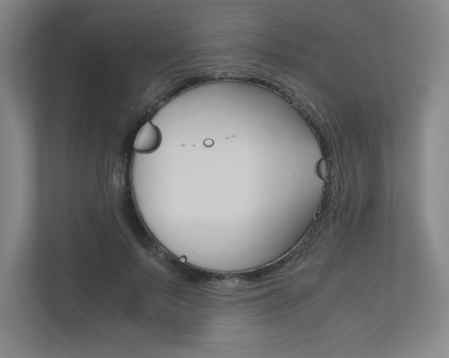 X0000110910695200906181006