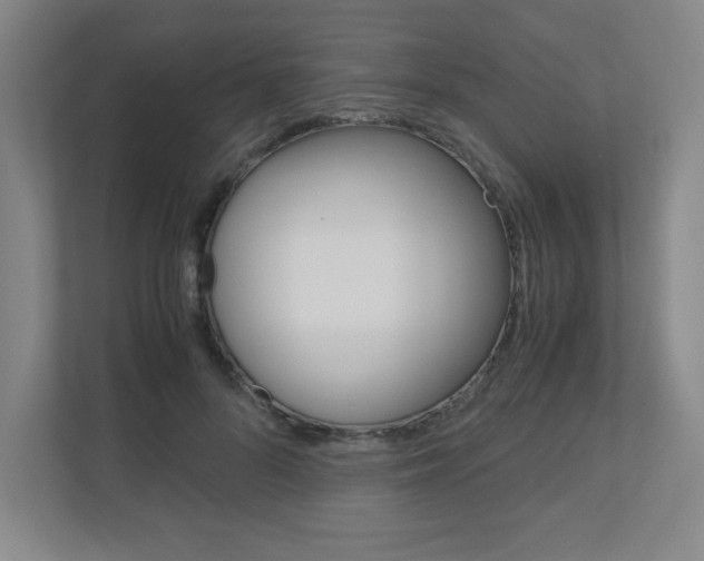 X0000110910696200906181006